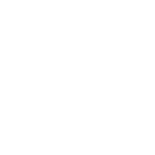 Authentic Orangutan & Wildlife Experience