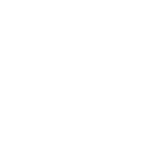  Professional & Dedicated Crew